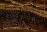 Polished Tiger's Eye Slab - South Africa #355292-1